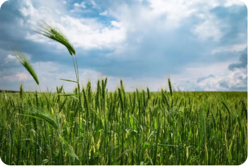 Link → post-6.webp