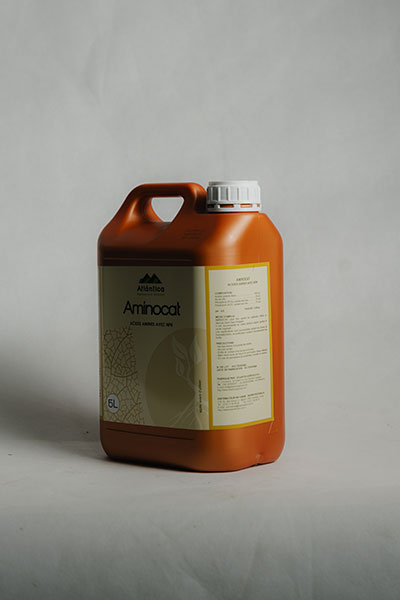 aminocat1