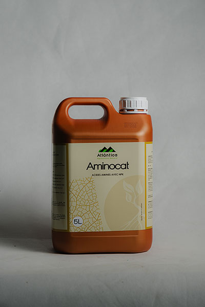 aminocat2