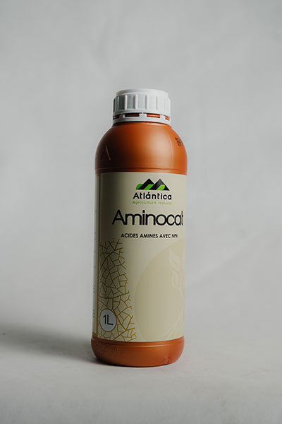 aminocat6