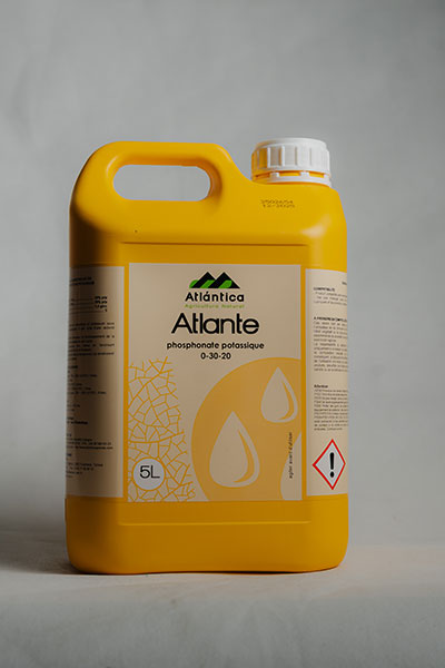 atlante