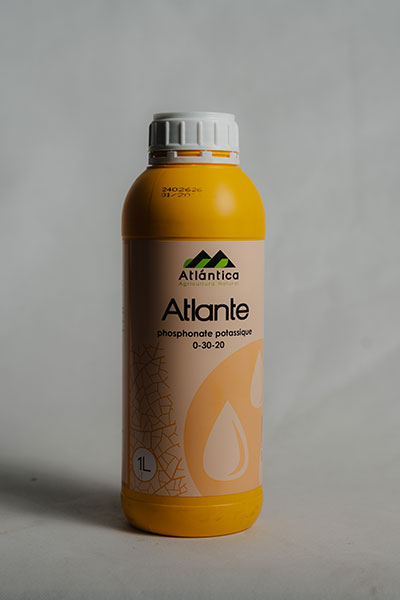 atlante5