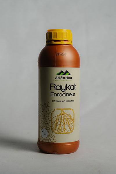 rakayet4