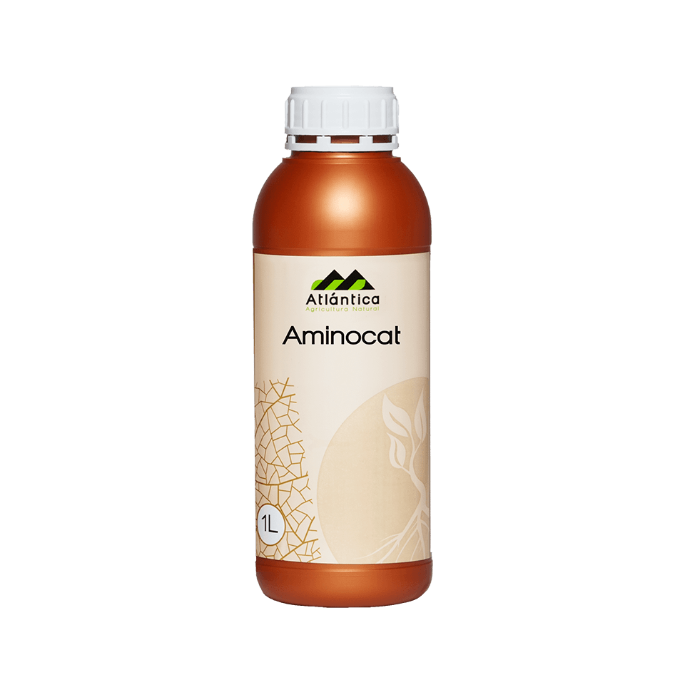 aminocat-1-l-1