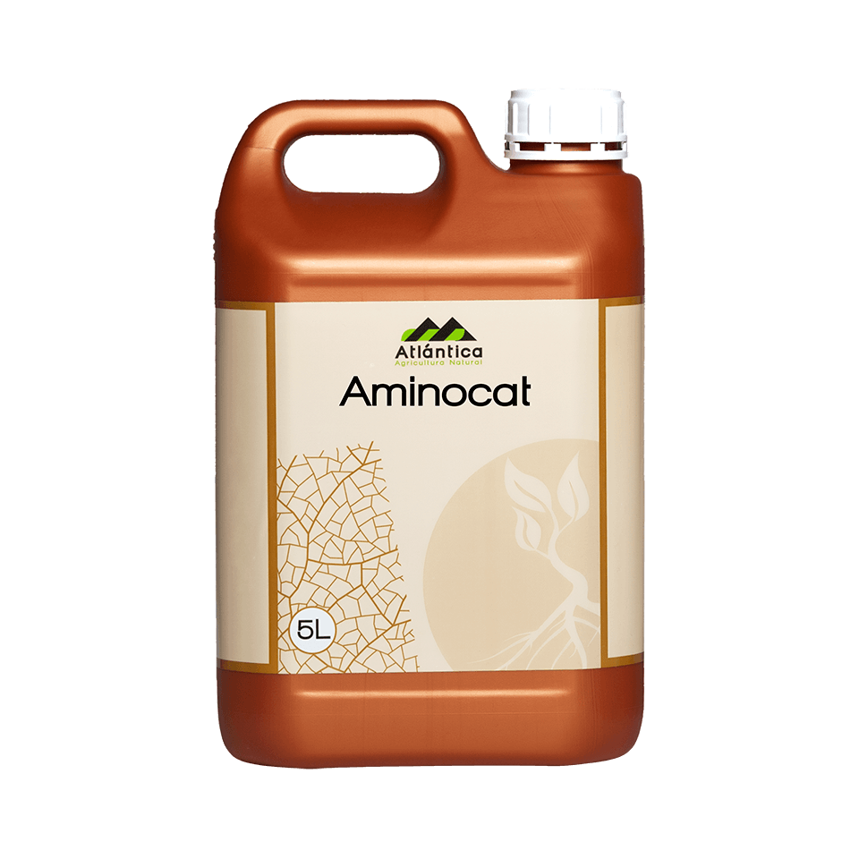 aminocat-5-l-1