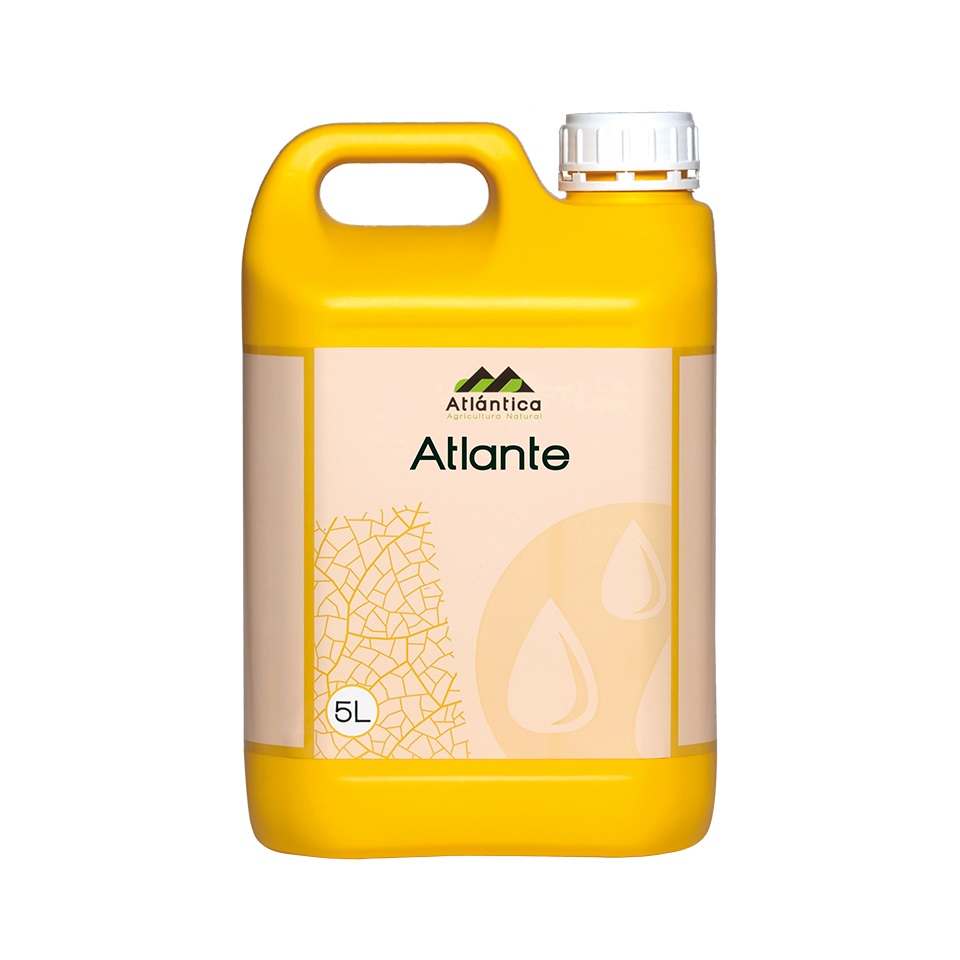 atlante-5-l