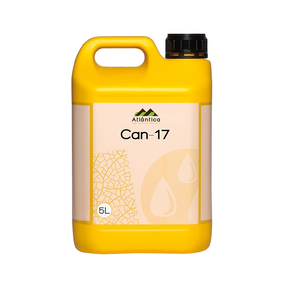 can-17-5-l