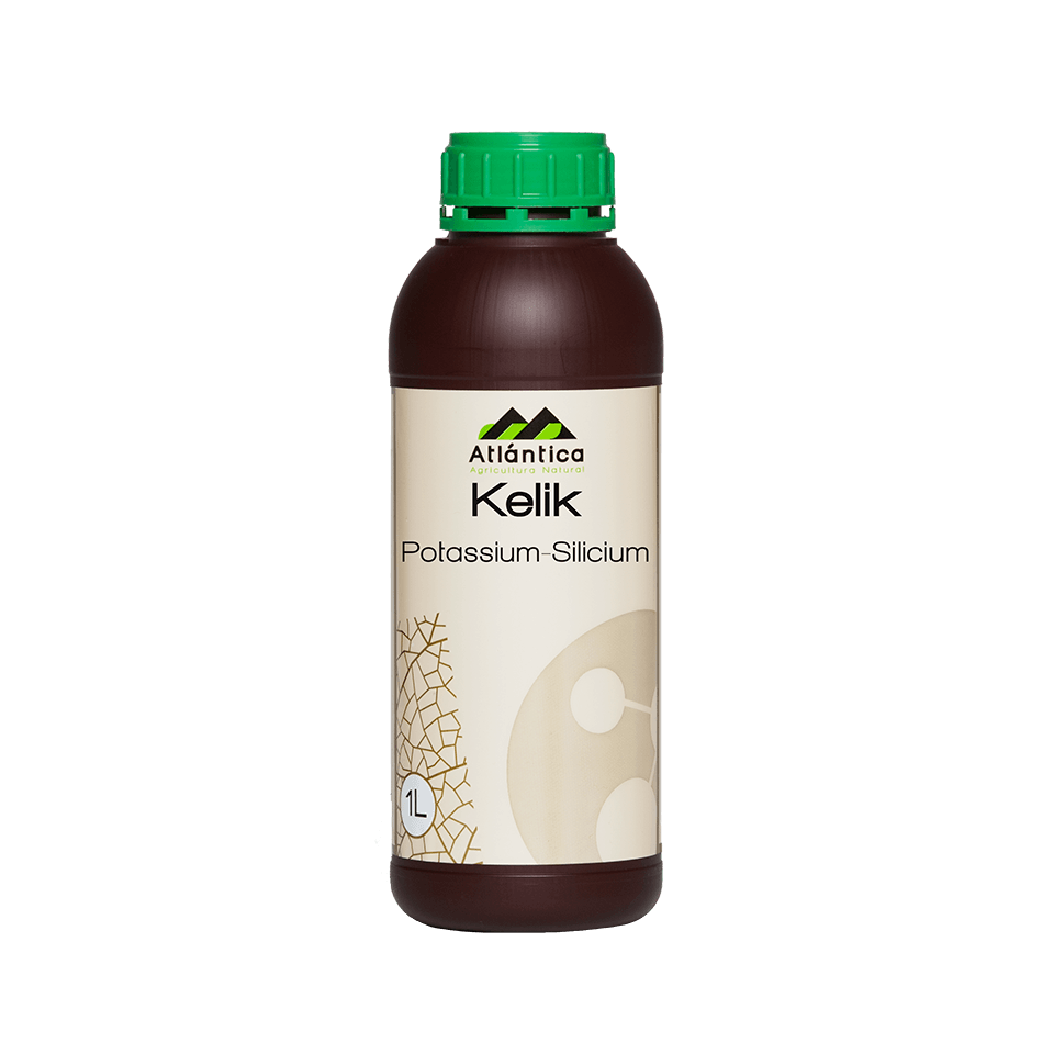 kelik-potassium-silicium-1-l