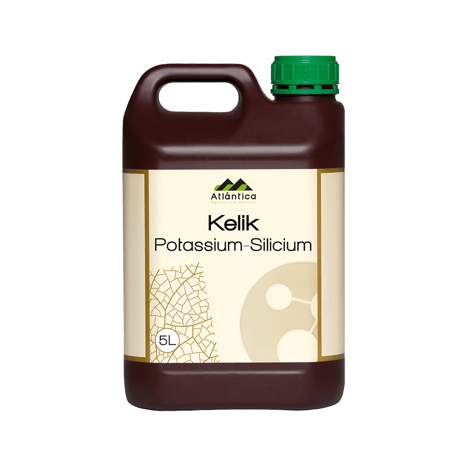 kelik-potassium-silicium-5-l