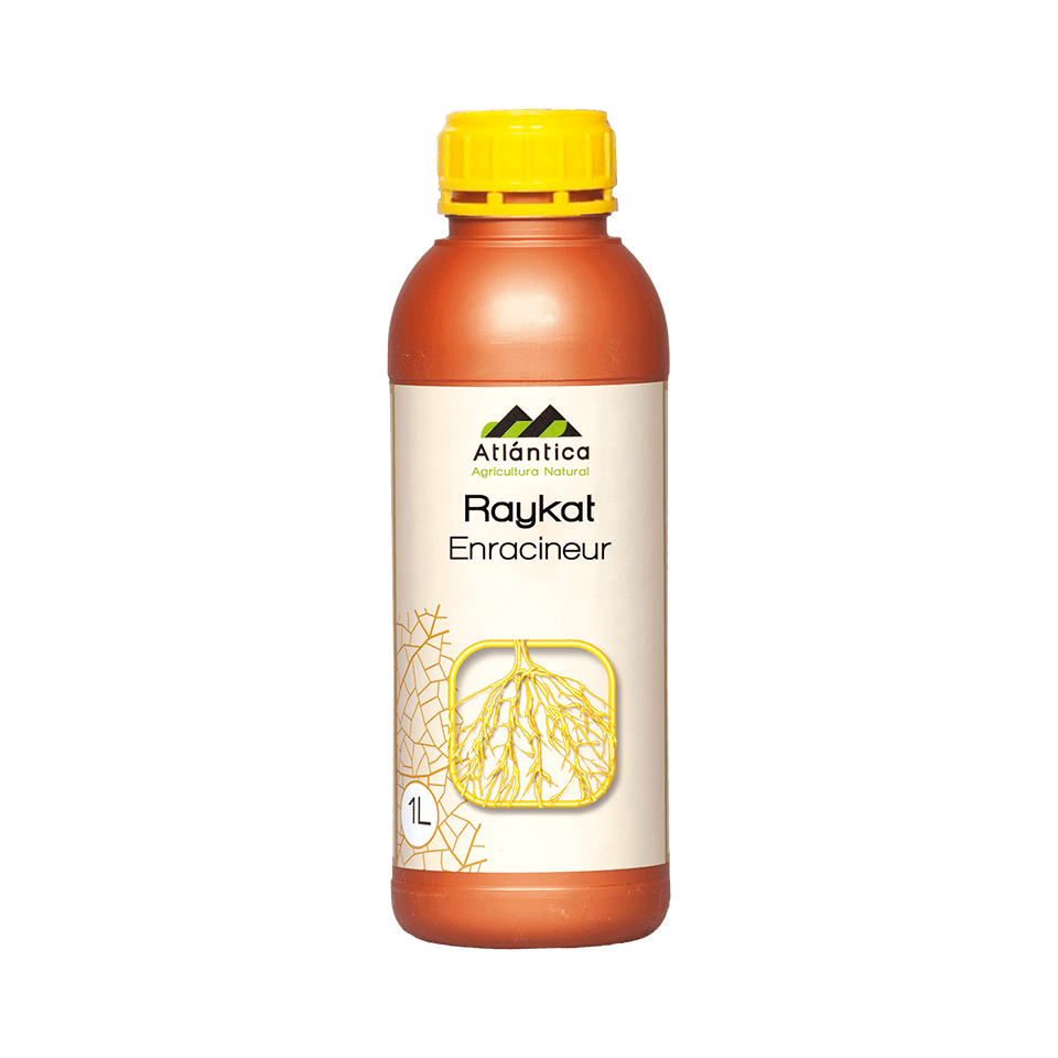 raykat-enracineur-1-l